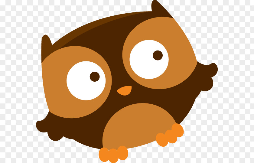 Owl Whiskers Bird Drawing Clip Art PNG