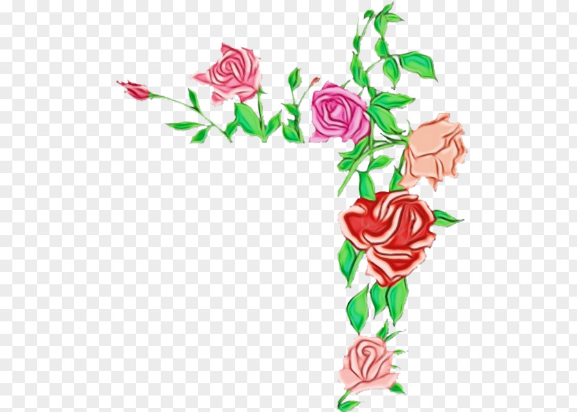Pedicel Rose Family Garden Roses PNG
