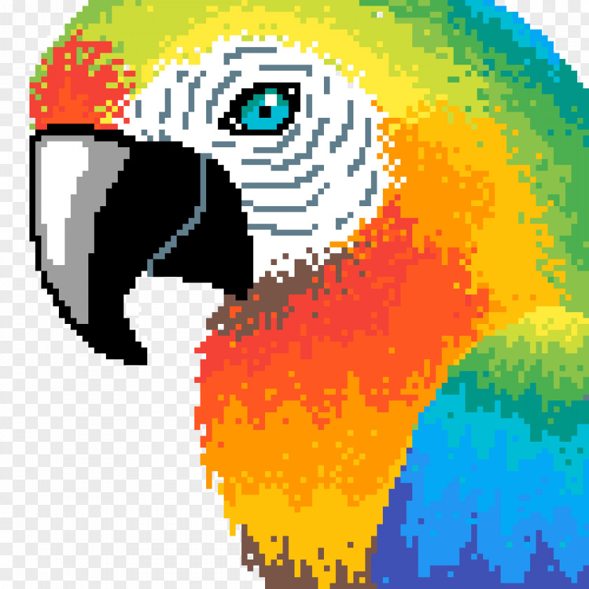Wildlife Snout Beak Macaw PNG