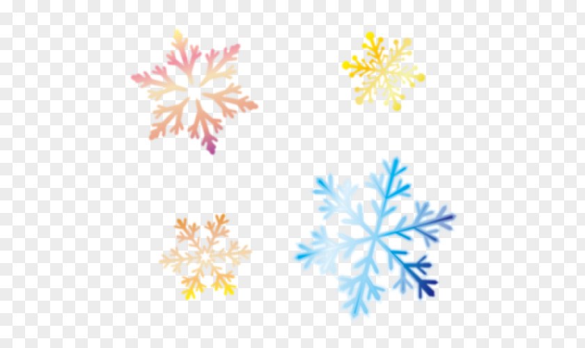 Winter Snow Crystal Snowflake. PNG