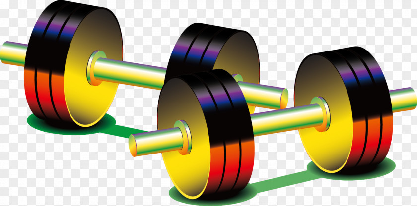 Barbell Vector Material Weight Training Physical Exercise PNG