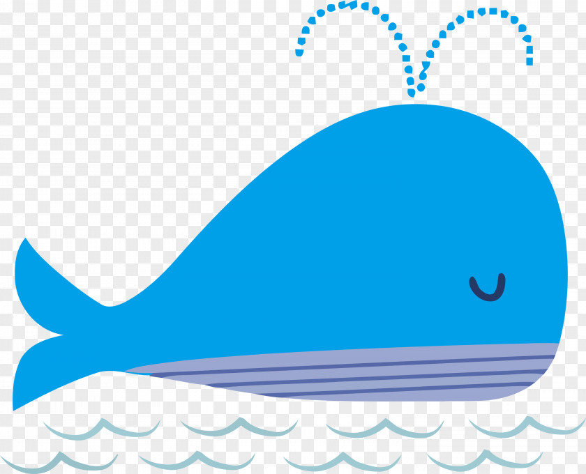 Dolphin Cetaceans Porpoise Fish Whales PNG