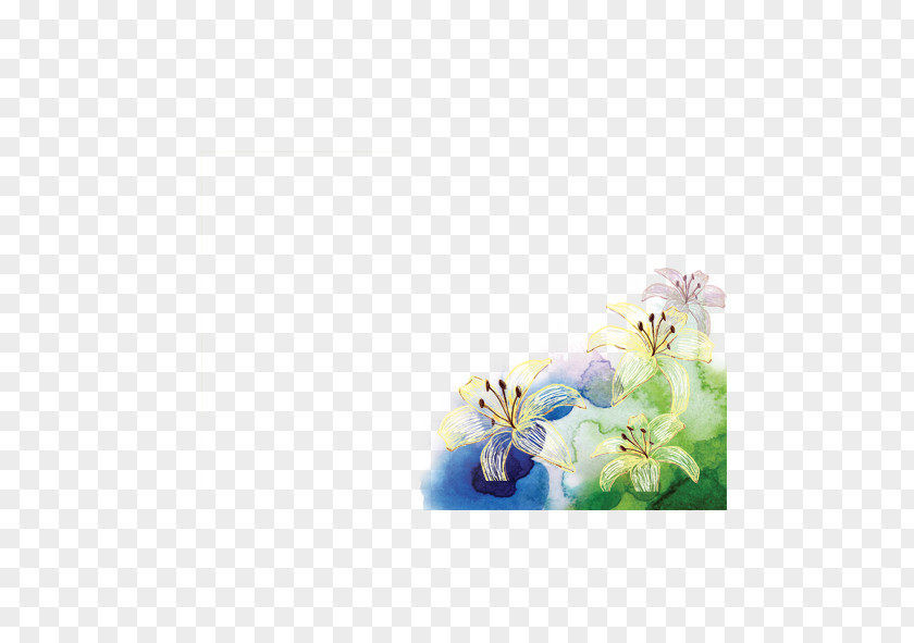 Fresh Lily Google Images PNG