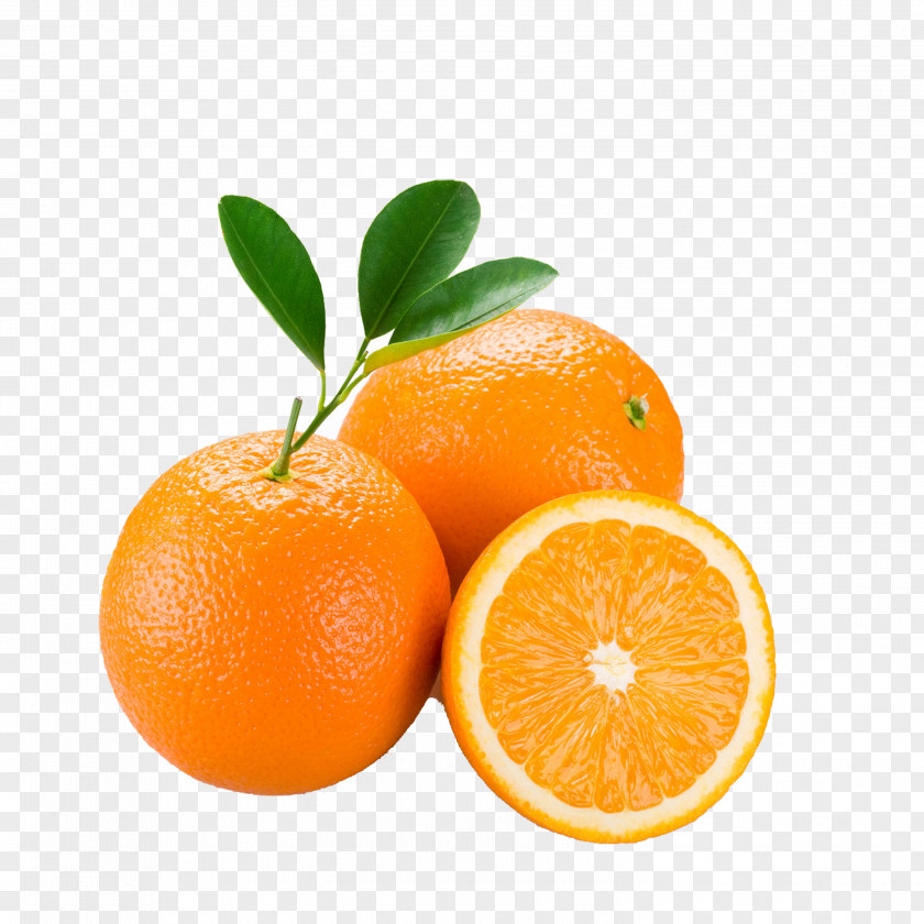 Orange Juice Citrus Xd7 Sinensis Lemon Mandarin PNG