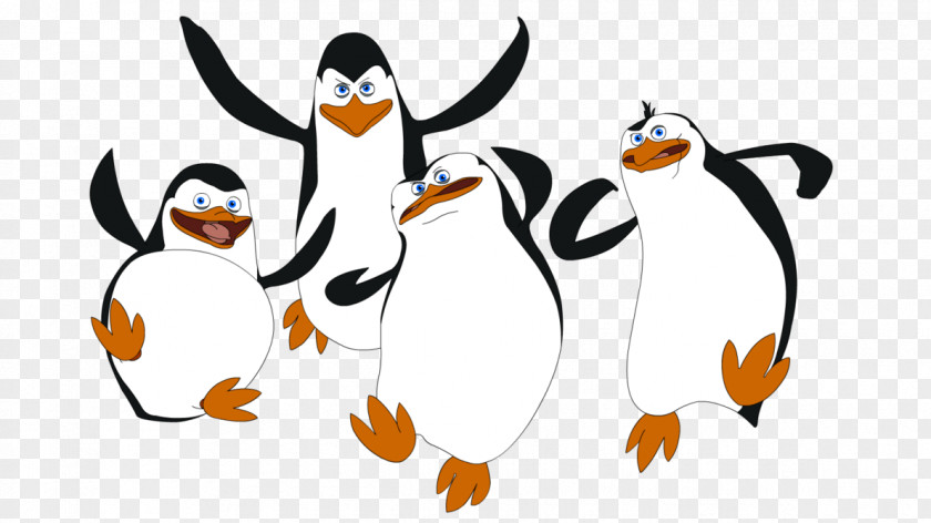 Penguins Penguin Madagascar Drawing Film Clip Art PNG