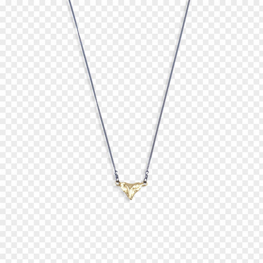 Silver Chain Locket Necklace Jewellery Gold Plating PNG