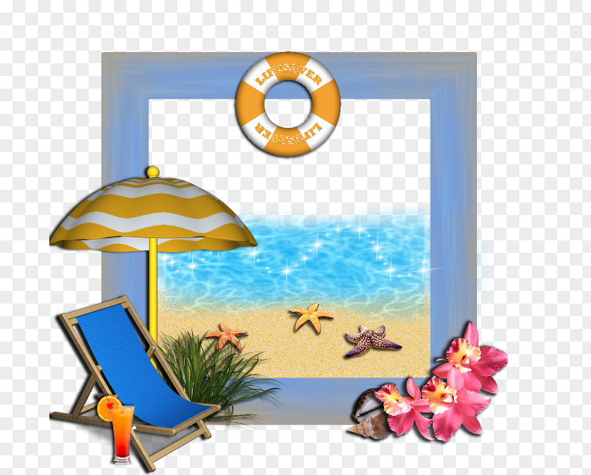 Tropical Frame Cartoon Clip Art PNG