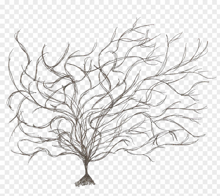 Stage White Tree Branches Earthsea Tehanu Image Graphics Design PNG