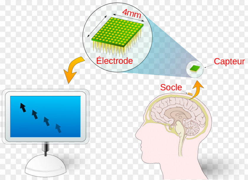 Technology Brain–computer Interface BRLESC PNG