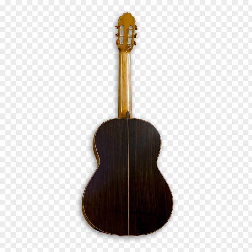Bass Guitar Acoustic Tiple Cuatro Cavaquinho PNG