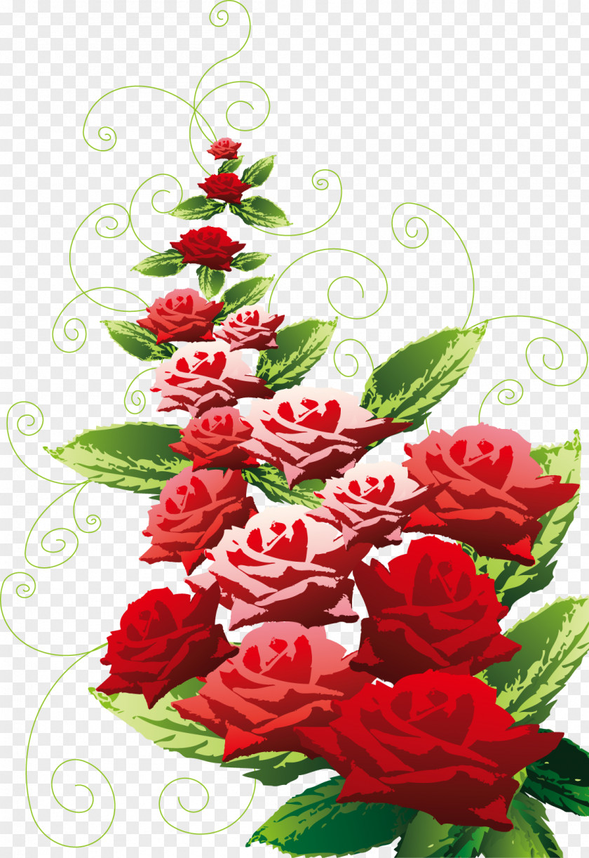 21 Garden Roses Flower Clip Art PNG