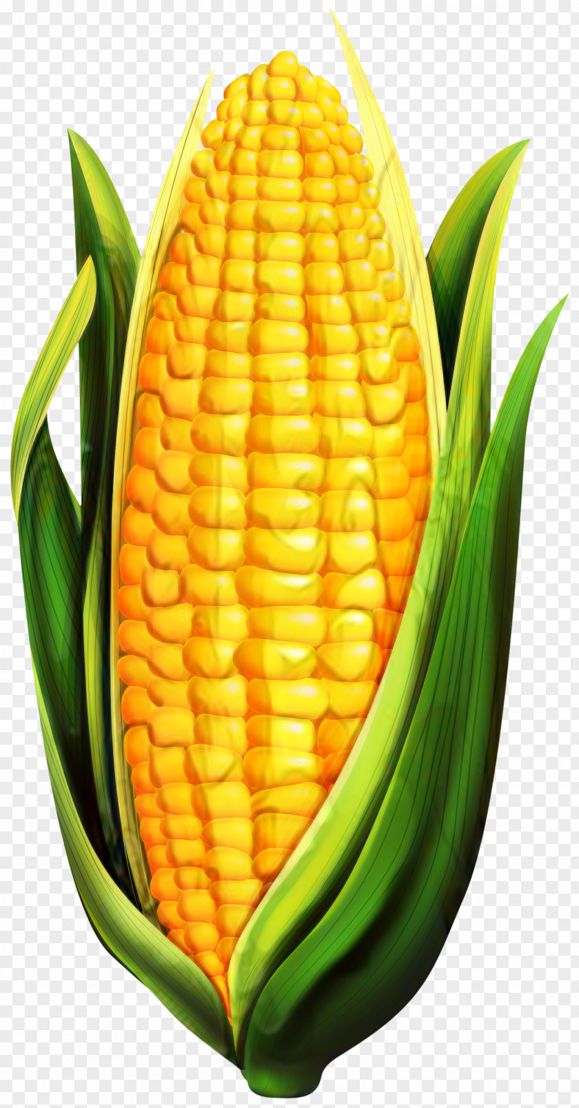Corn On The Cob Sweet Pineapple Commodity PNG