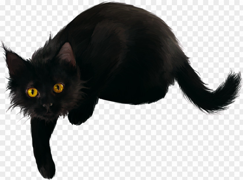 Cats Black Cat Kitten Clip Art PNG