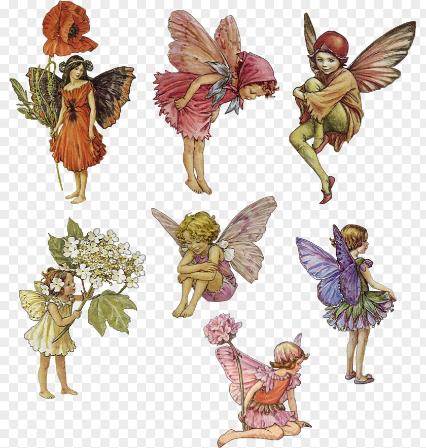 Fairy Elf Dryad Nymph Flower Fairies PNG