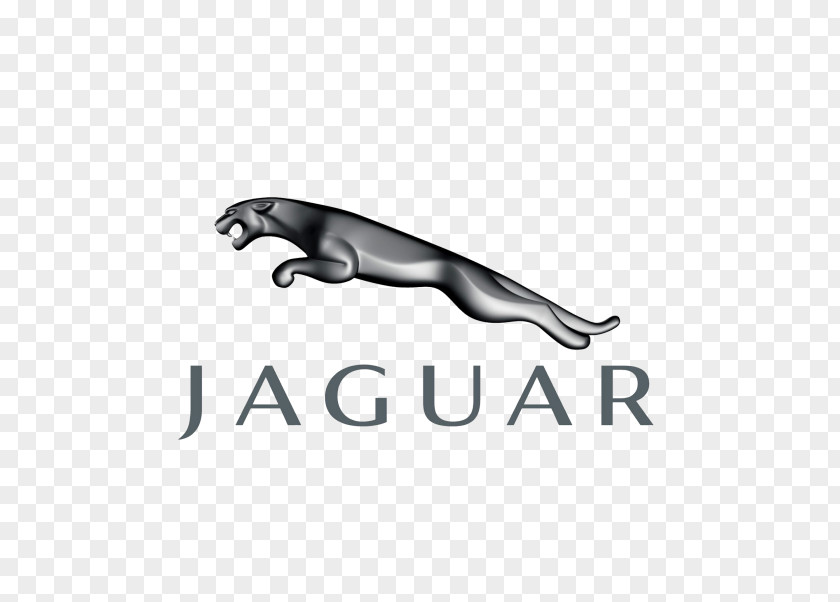 Jaguar Cars F-Type XK PNG