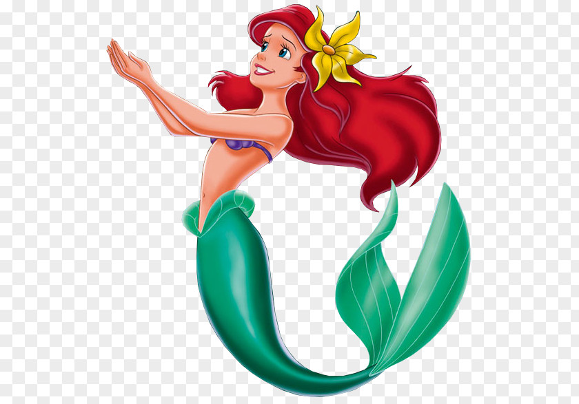 Mermaid Ariel The Little Disney Princess Drawing PNG