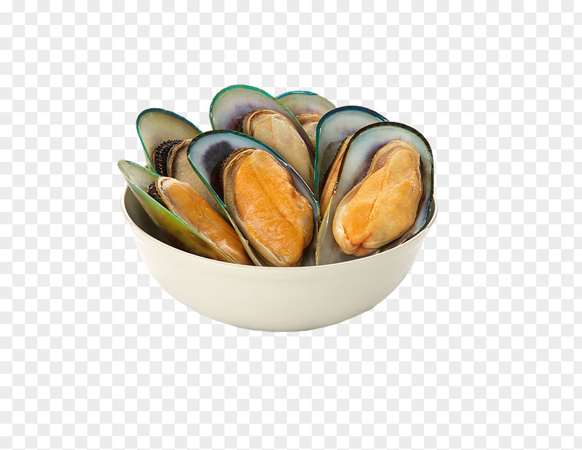Mussels Mussel Clam Shellfish Molluscs Seafood PNG