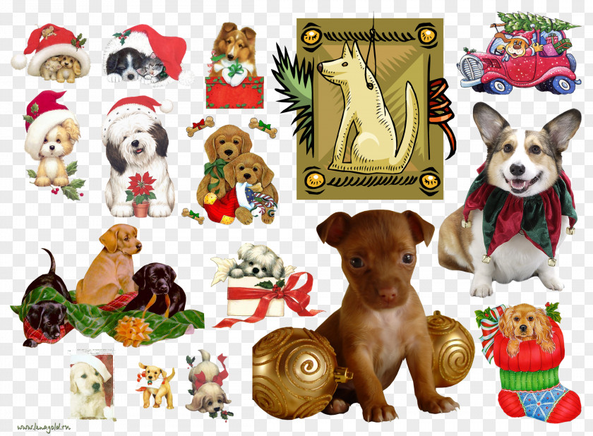 2018 Dog Puppy Pet New Year PNG