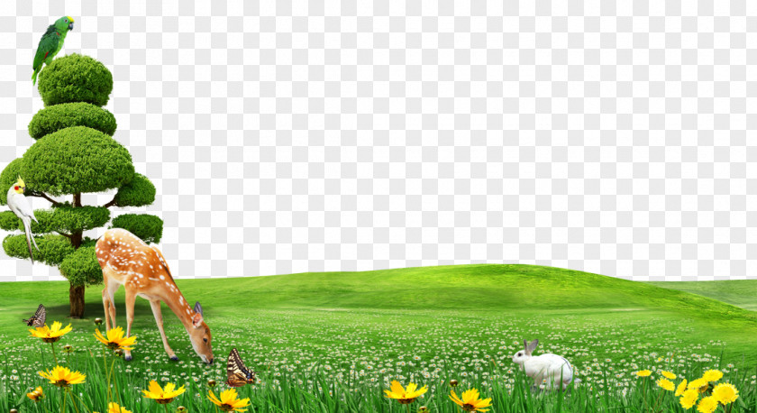 Free Deer Grass To Pull Material Childrens Day Template Illustration PNG