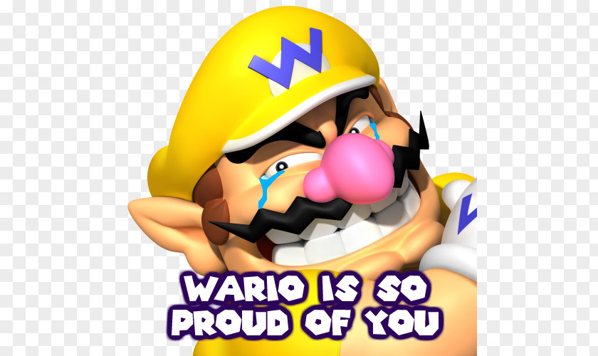 Mario Wario Land: Super Land 3 WarioWare, Inc.: Mega Microgames! & PNG