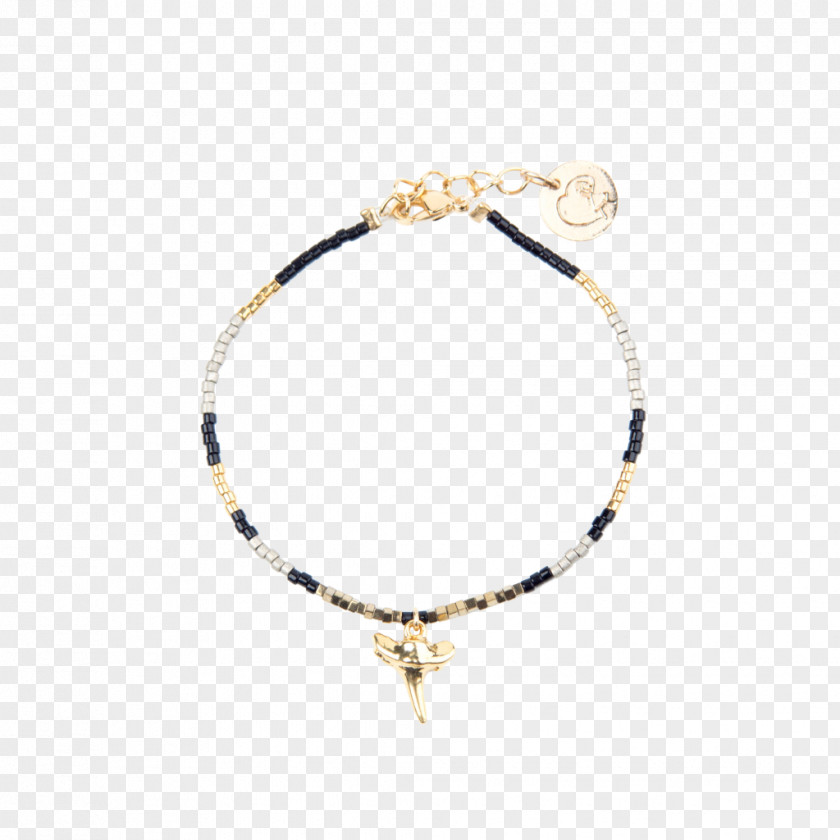 Necklace Bracelet Earring Jewellery PNG