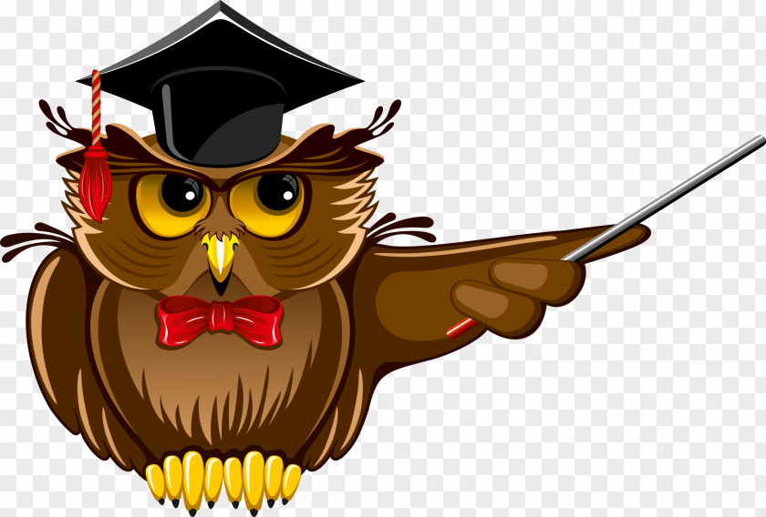 Owl Clip Art Teacher School PNG