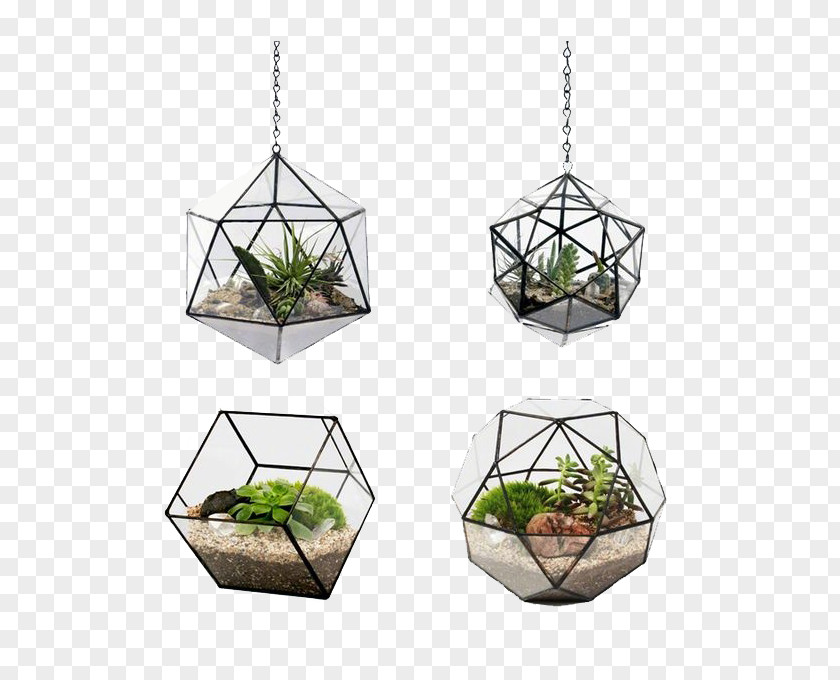 Plant Potted Wall Flowerpot Terrarium Glass Android PNG