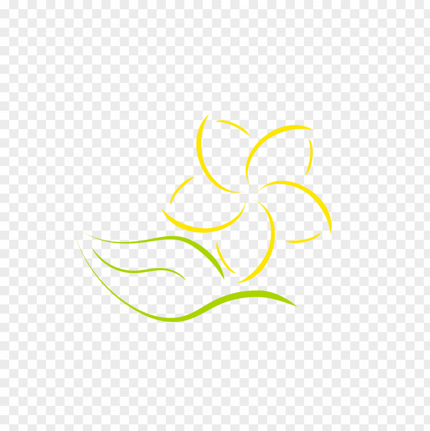 Plumeria Flower Petal Logo Leaf PNG