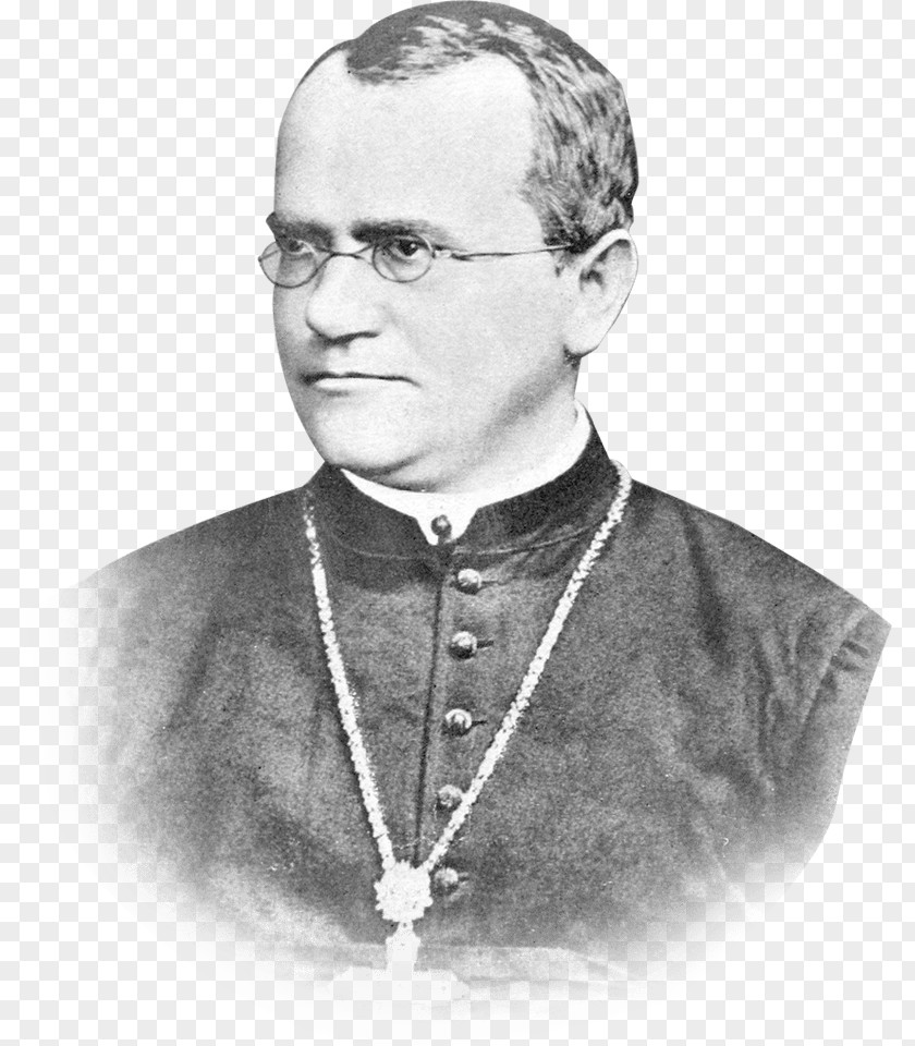 Scientist Gregor Mendel St Thomas's Abbey, Brno Genetics Biology PNG