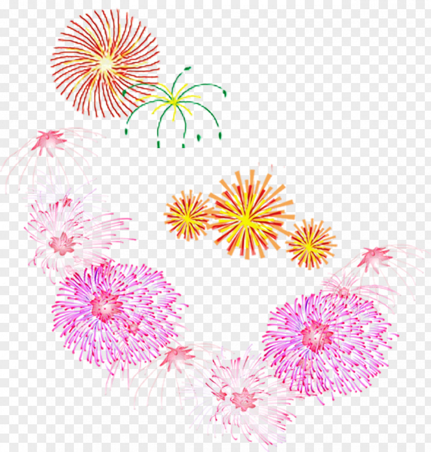 Wildflower Plant Chinese New Year Flower Background PNG