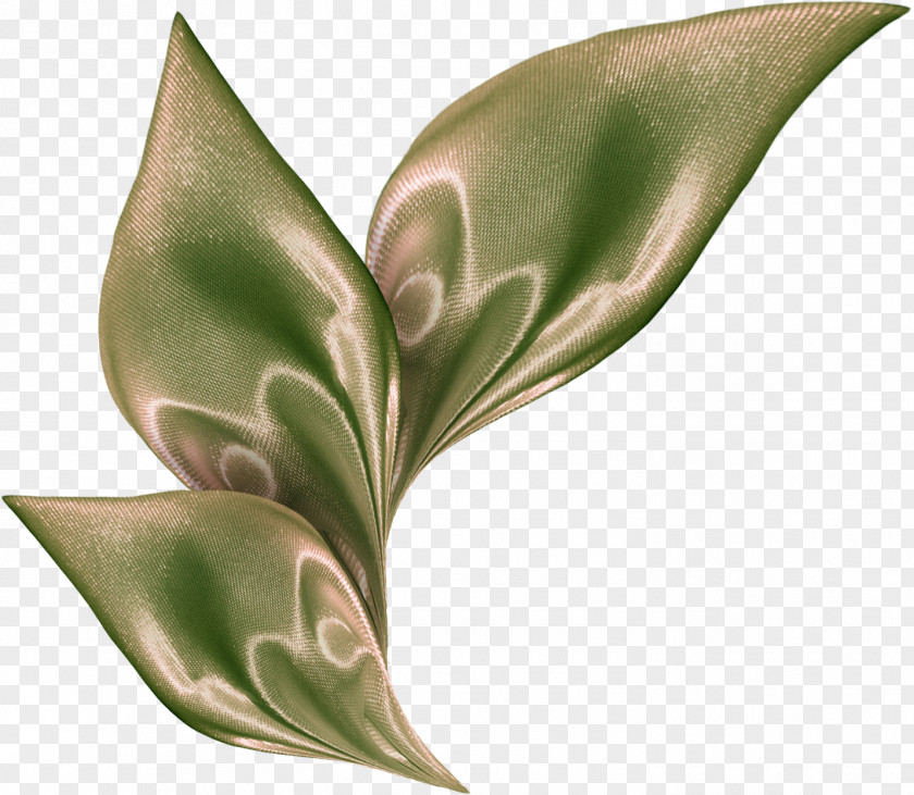 YARN Leaf Flower Plant Stem PNG