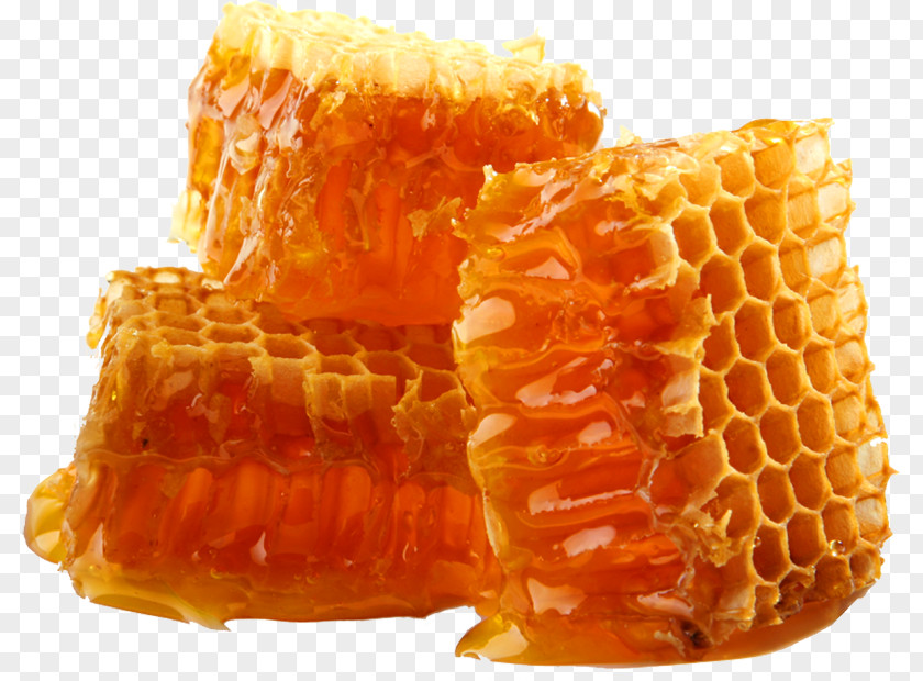 Bee Honey Beeswax Honeycomb PNG