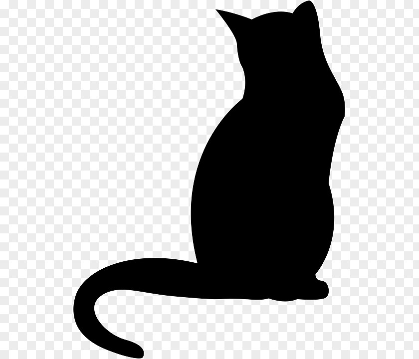 Cats Vector Black Cat Kitten Polydactyl Clip Art PNG