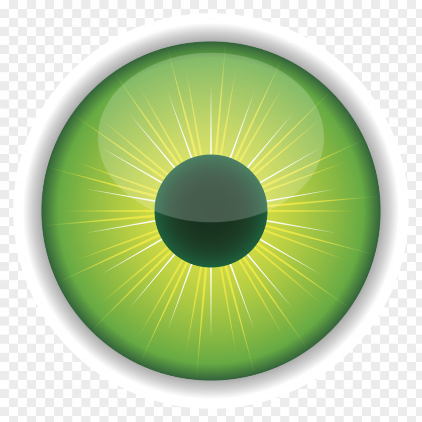 Eyes Eye Color Green Clip Art PNG