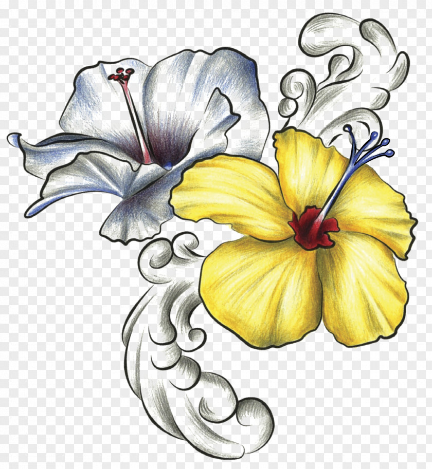 Flower Hawaiian Hibiscus Drawing Rosemallows PNG