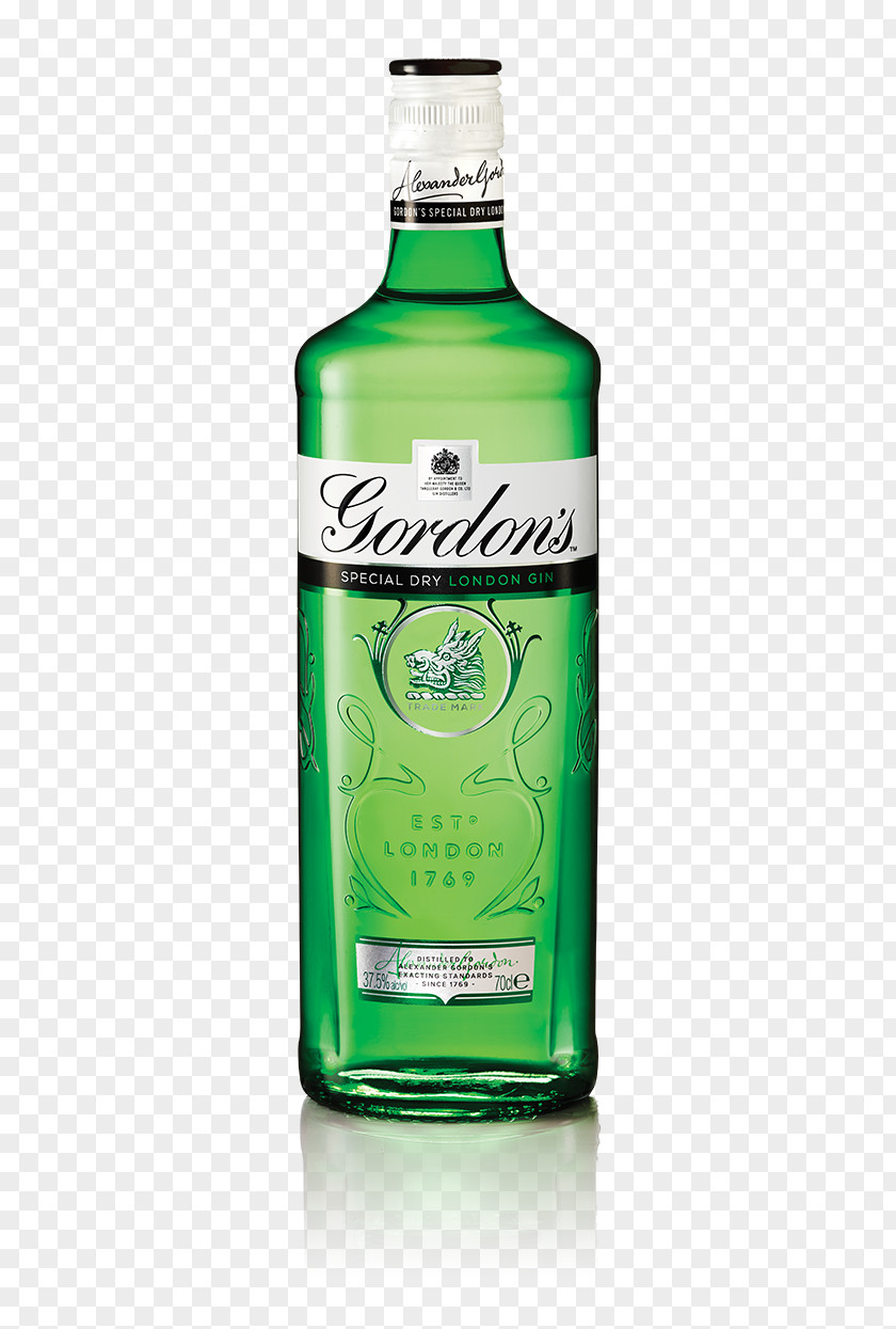Gin Fizz Whitley Neill Distilled Beverage Tanqueray Gordon's PNG