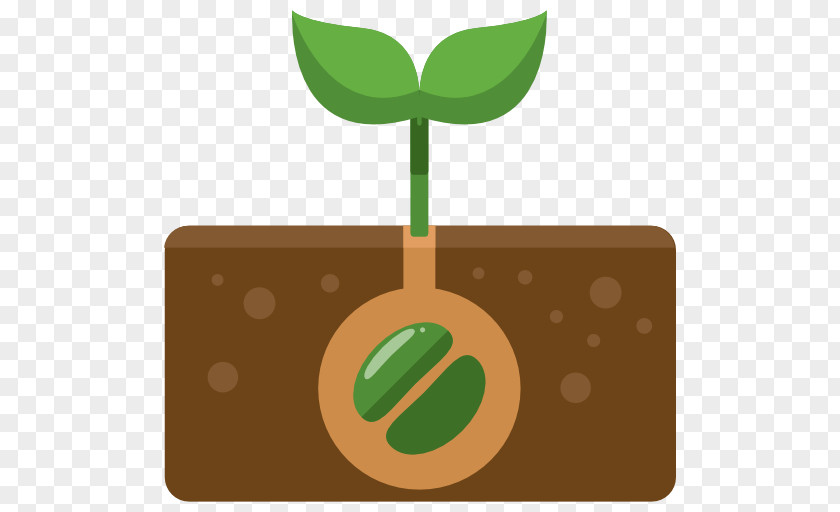 Plant Mung Bean Sprout Cartoon Icon PNG