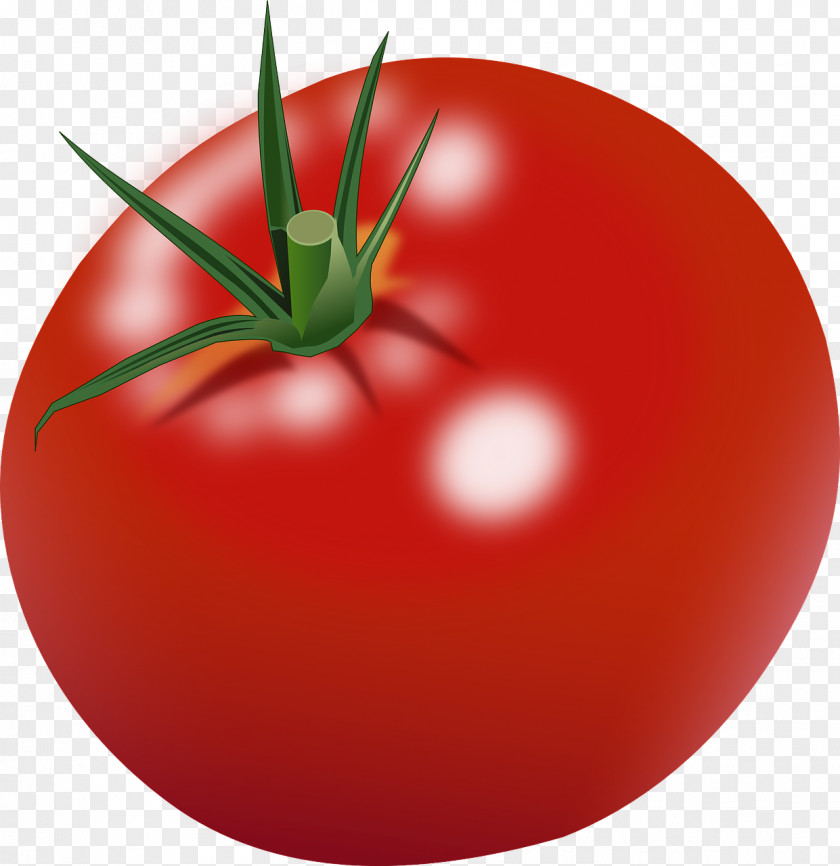 Tomatoes Cherry Tomato Clip Art PNG