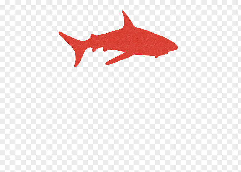 BABY SHARK Hoodie Shark T-shirt Onesie PNG