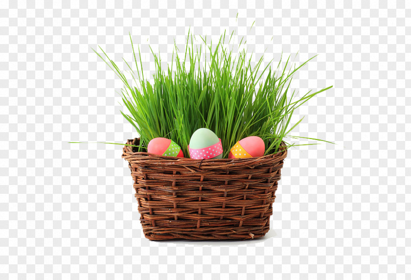 Grass Basket And Eggs Easter Bunny Egg Wish Hunt PNG