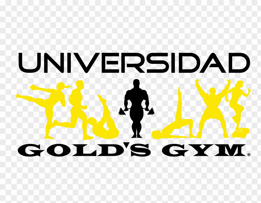 Ocean Drive Gold's Gym Fitness Centre Physical Logo Exercise PNG