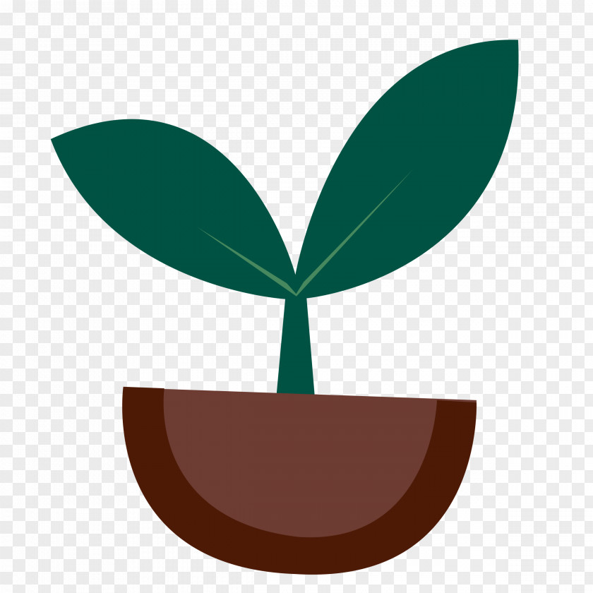 Plant Seed Clip Art PNG