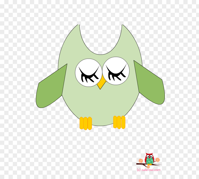 Wall Decal Owl Bird Sticker PNG