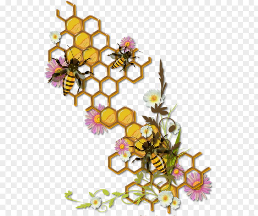 Bee Honey Honeycomb Bumblebee PNG