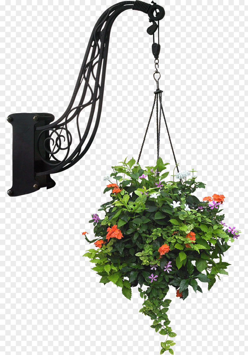 Flower Garden Flowerpot Plants Basket PNG