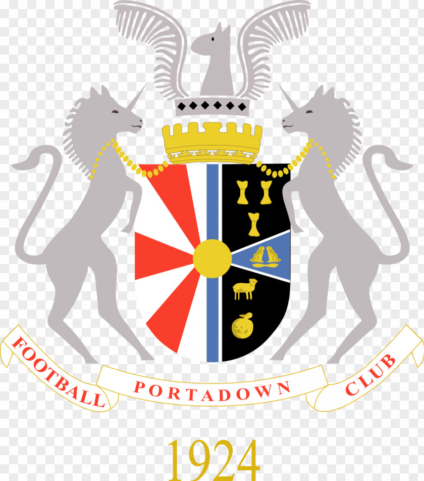 Football Portadown F.C. 2015–16 Irish Cup Cliftonville 2014–15 PNG