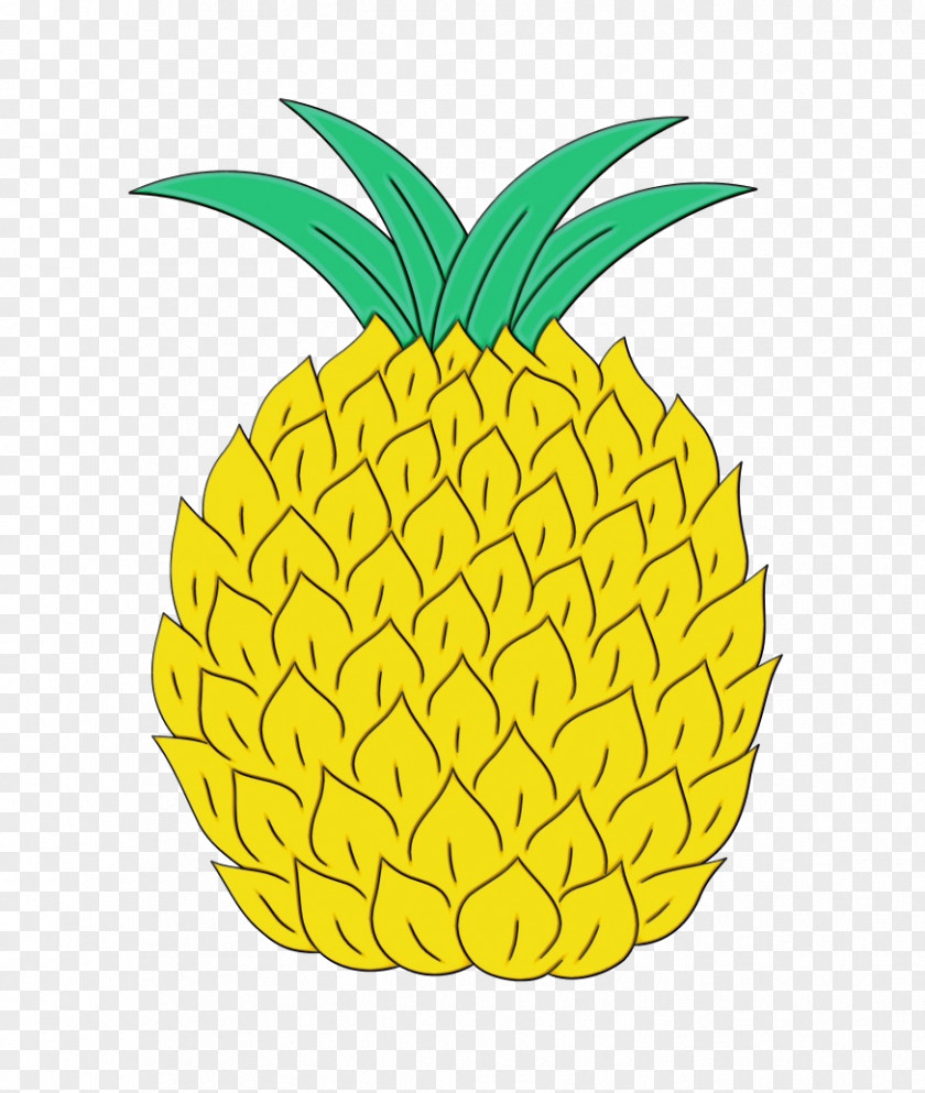 Poales Food Pineapple PNG