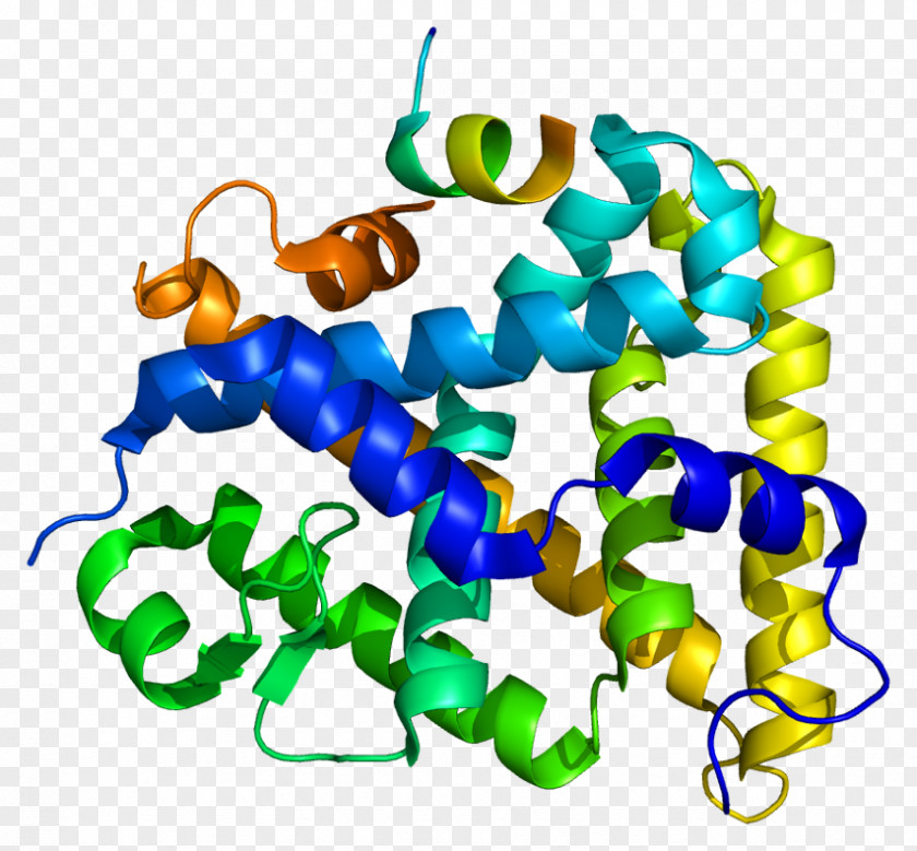 Steroidogenic Factor 1 Acute Regulatory Protein Nuclear Receptor Gene PNG
