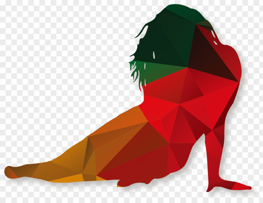 Vector Illustration Women Polygons Silhouette Polygon PNG