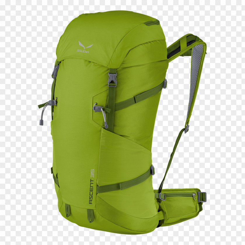 Backpack Salewa Ascent 24 CREST BP Davos 00-0000001143 Hiking OBERALP S.p.A. PNG